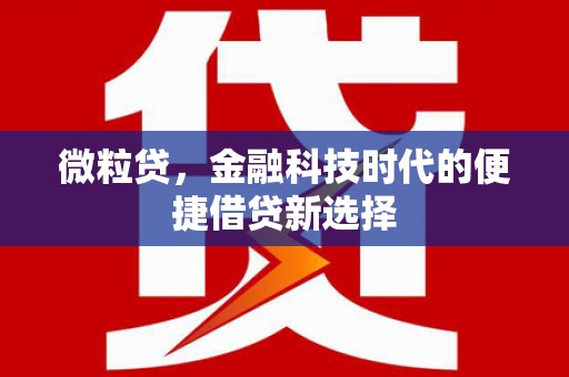 兴和微粒贷，金融科技时代的便捷借贷新选择