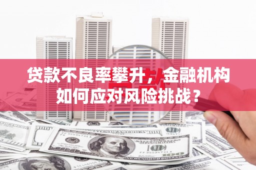 兴和贷款不良率攀升，金融机构如何应对风险挑战？