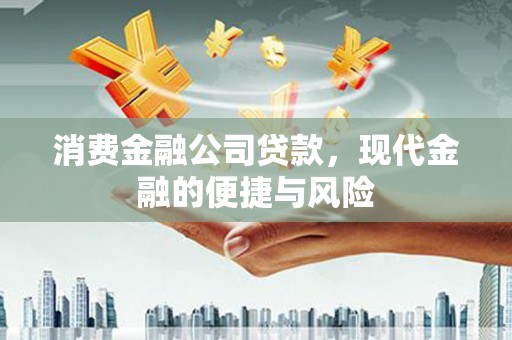 兴和消费金融公司贷款，现代金融的便捷与风险