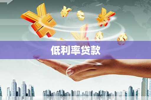 兴和低利率贷款