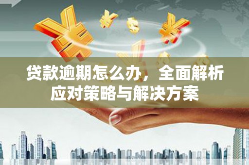 兴和贷款逾期怎么办，全面解析应对策略与解决方案